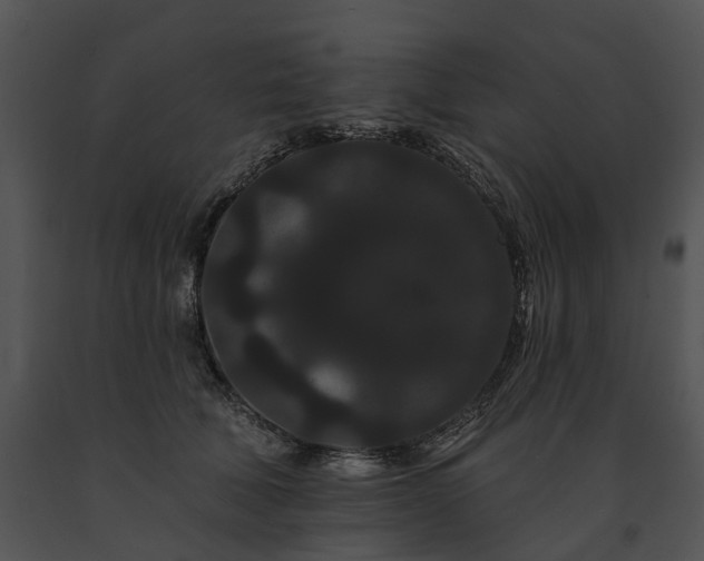 X0000091670610200708301501