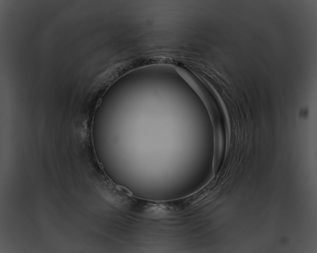 X0000091670611200708301501