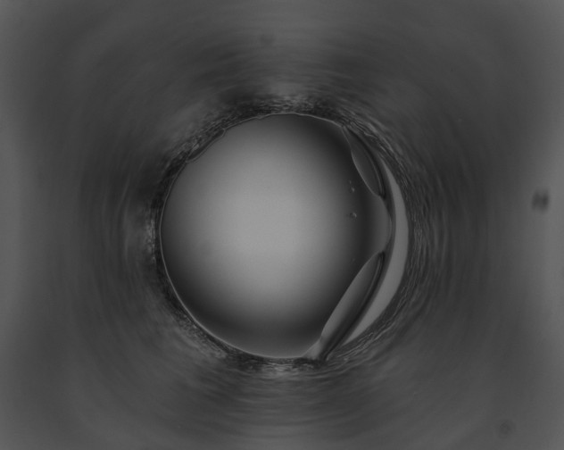 X0000091670613200708301500
