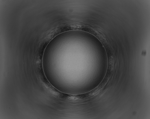 X0000091670614200708301500