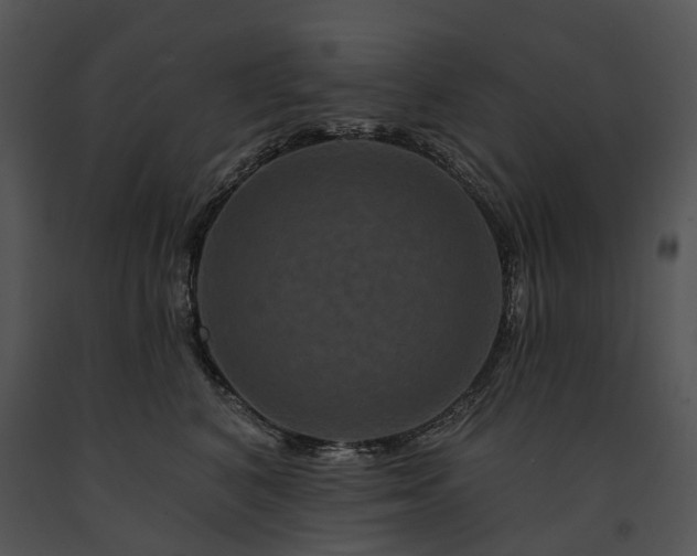 X0000091670616200708301500