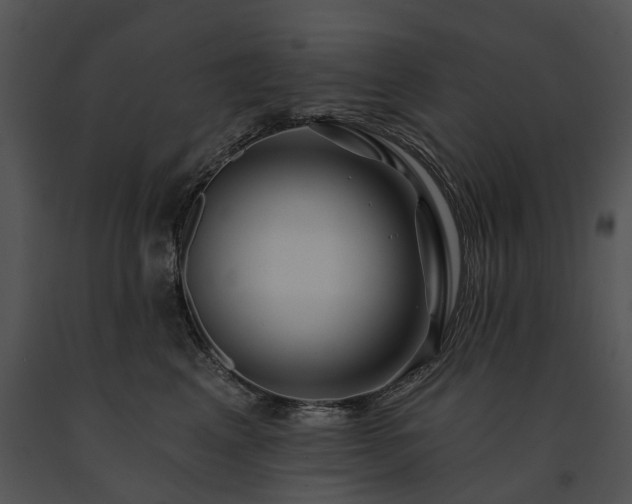 X0000091670617200708301500