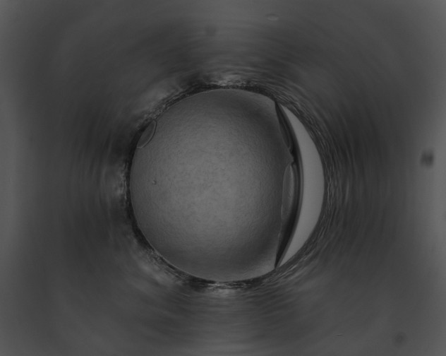 X0000091670620200708301500