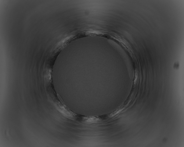 X0000091670621200708301500