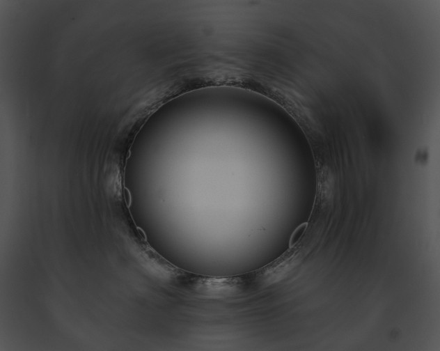 X0000091670622200708301500