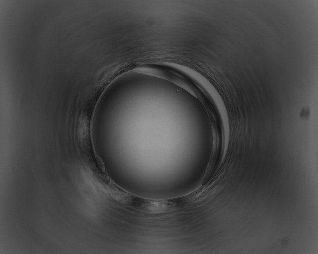 X0000091670623200708301500