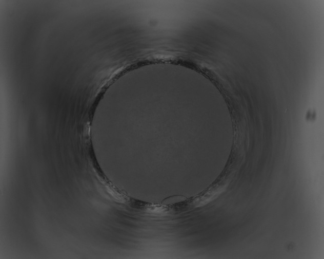 X0000091670624200708301500