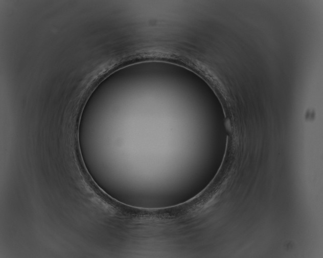 X0000091670625200708301500