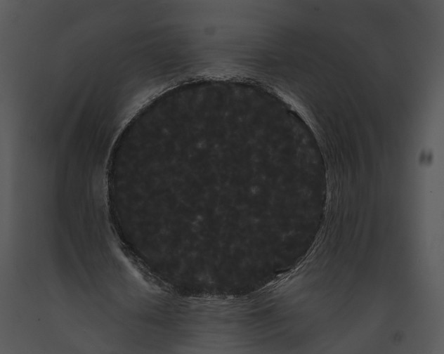 X0000091670626200708301500