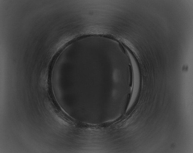 X0000091670627200708301500
