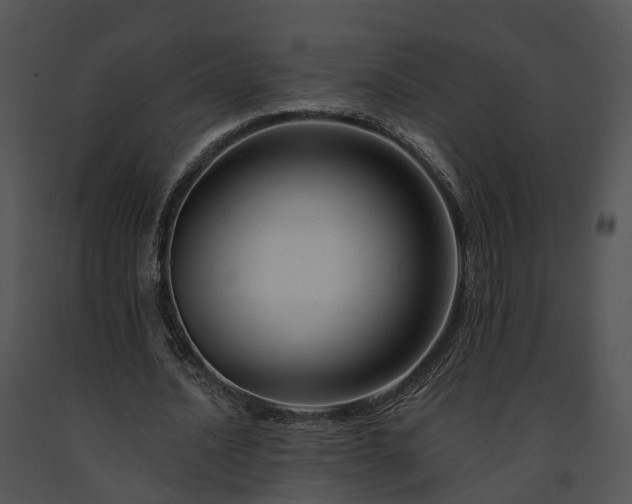 X0000091670628200708301500