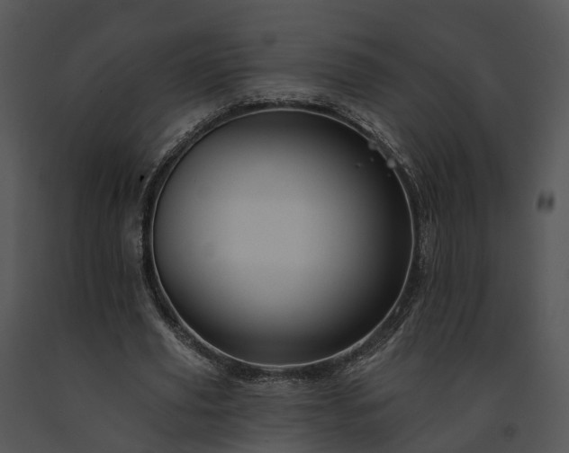 X0000091670629200708301500