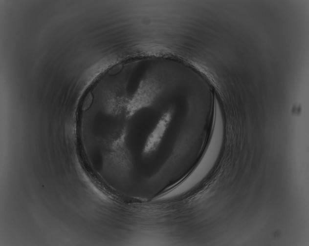X0000091670630200708301500