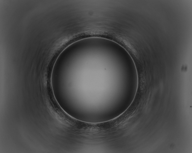 X0000091670631200708301500