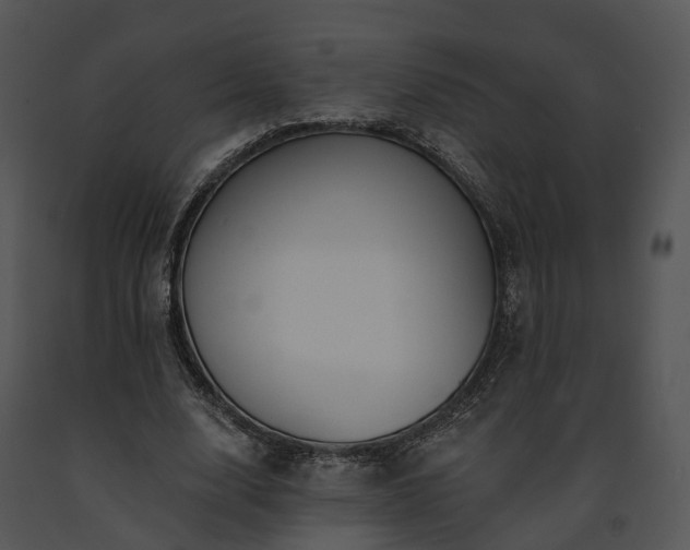 X0000091670632200708301500