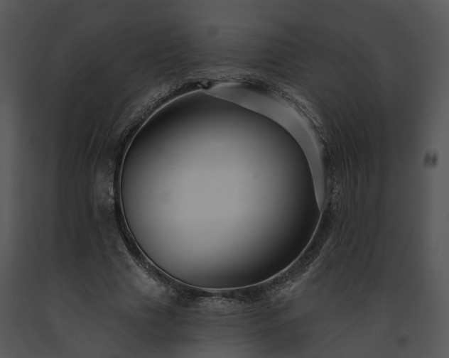 X0000091670633200708301500