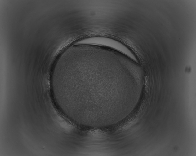 X0000091670634200708301500