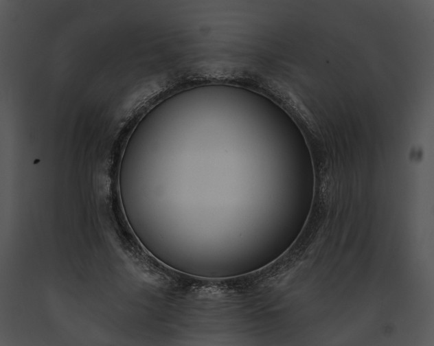 X0000091670635200708301500
