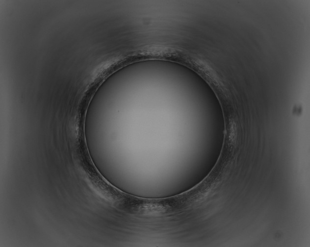 X0000091670636200708301500