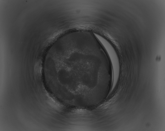 X0000091670637200708301500