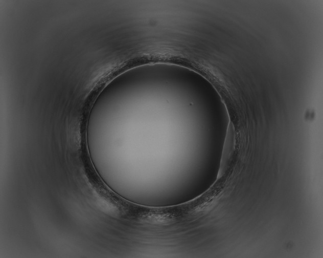 X0000091670638200708301500