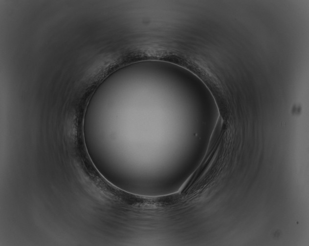 X0000091670639200708301500