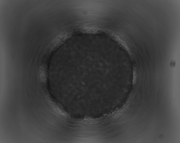 X0000091670641200708301500