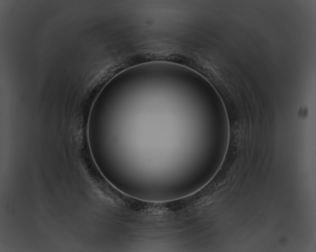 X0000091670642200708301500