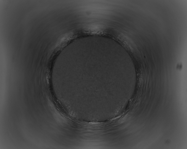 X0000091670643200708301500