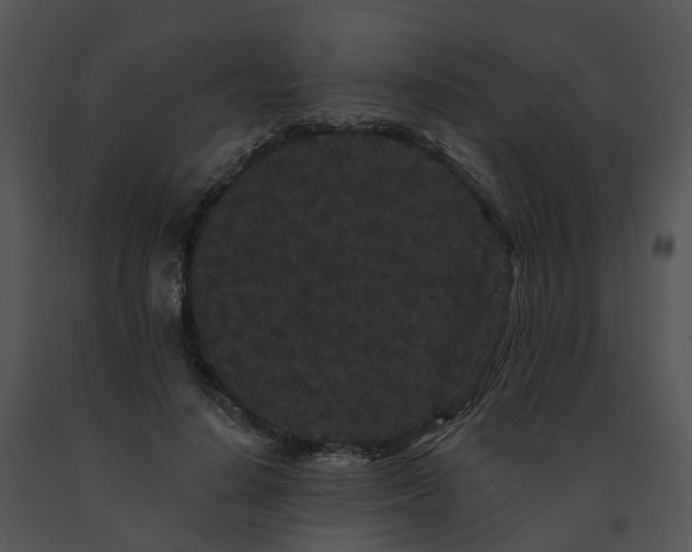 X0000091670644200708301500