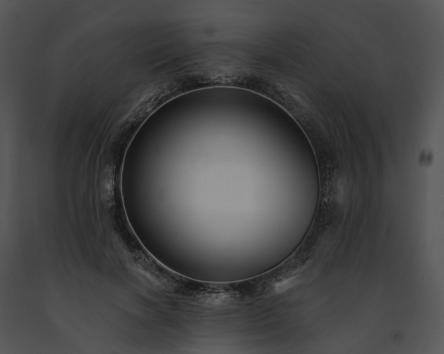 X0000091670646200708301500
