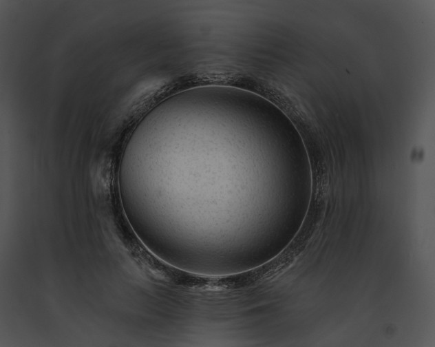 X0000091670647200708301500