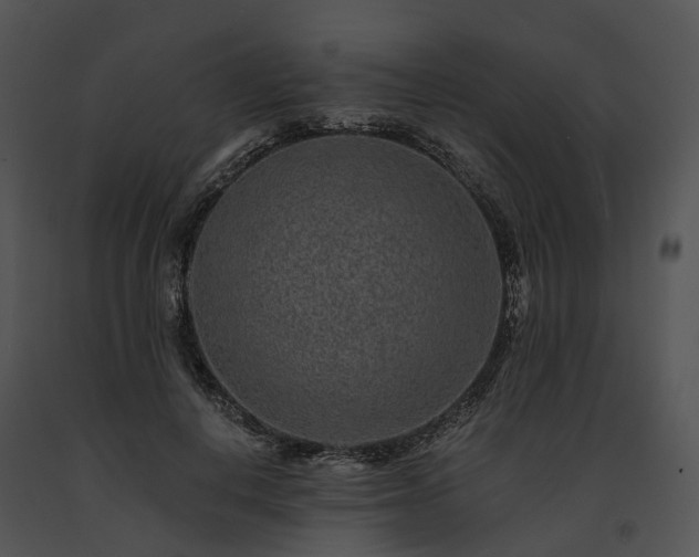 X0000091670648200708301500