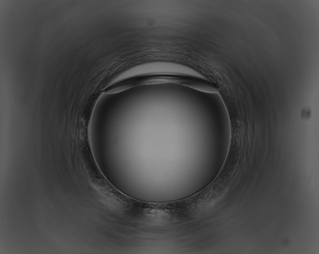 X0000091670649200708301500