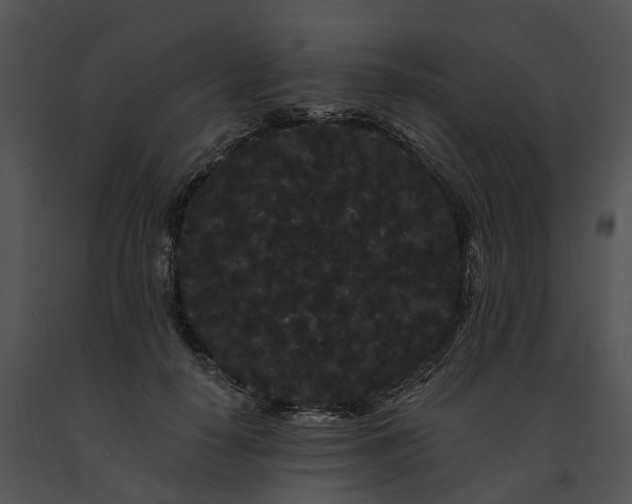 X0000091670650200708301500