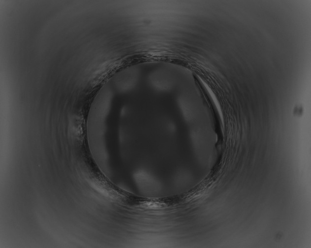 X0000091670654200708301500