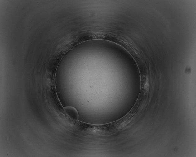 X0000091670655200708301500