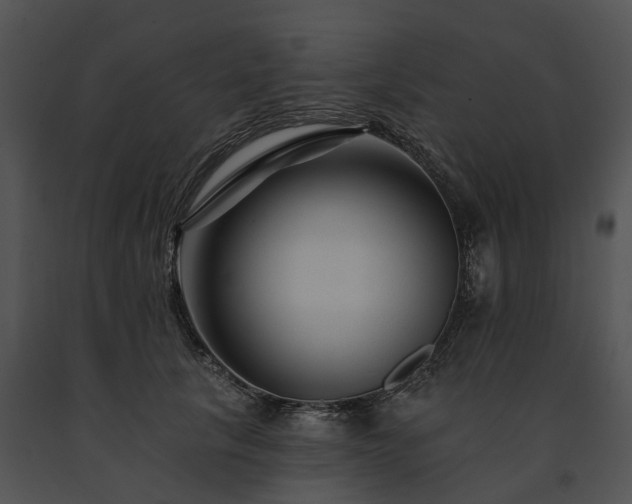 X0000091670657200708301500
