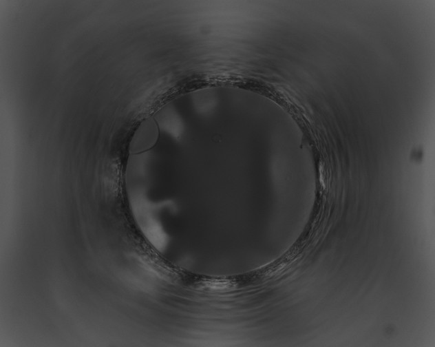 X0000091670659200708301500