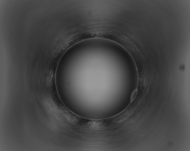 X0000091670660200708301500