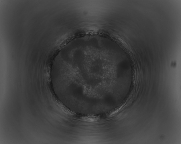 X0000091670661200708301500