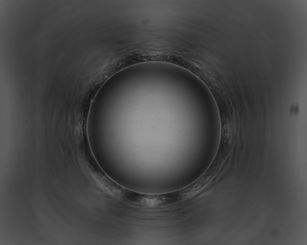 X0000091670662200708301500