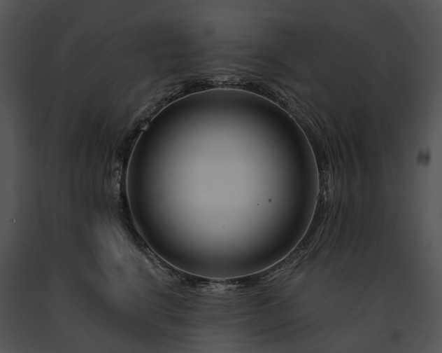 X0000091670664200708301500