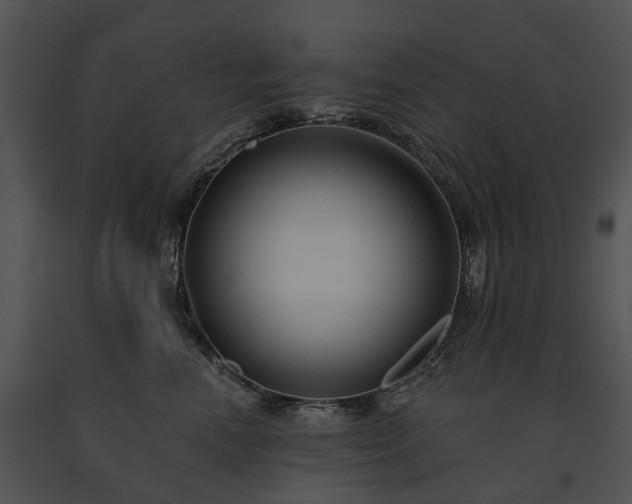 X0000091670666200708301500