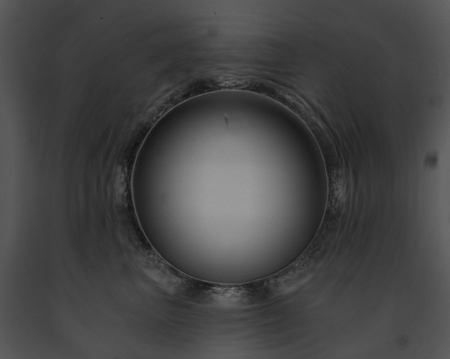 X0000091670667200708301500