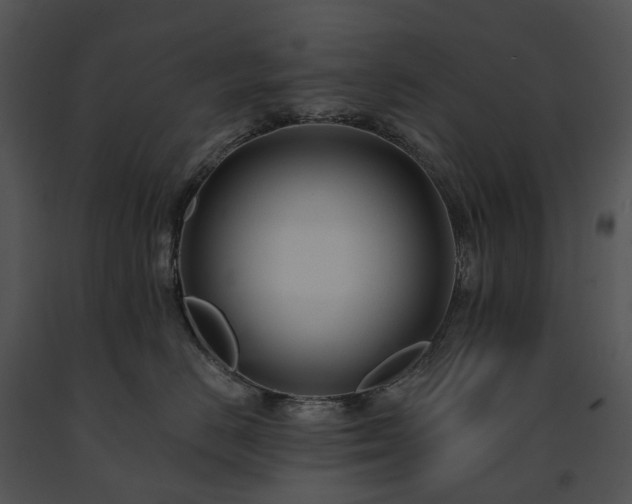 X0000091670670200708301500