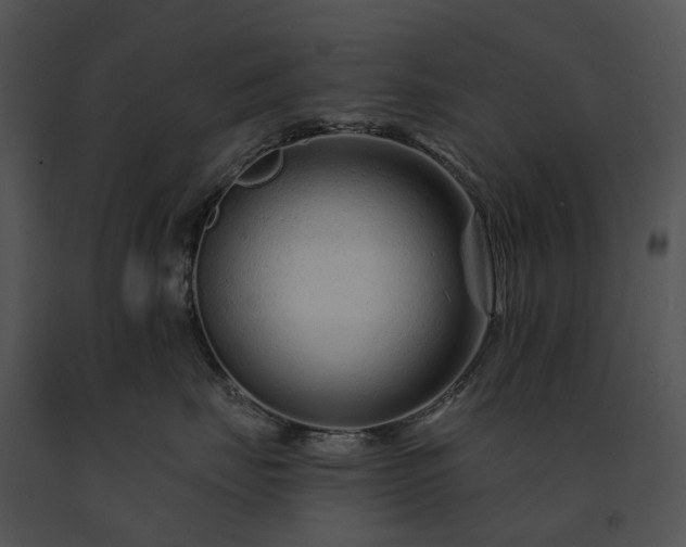 X0000091670671200708301500