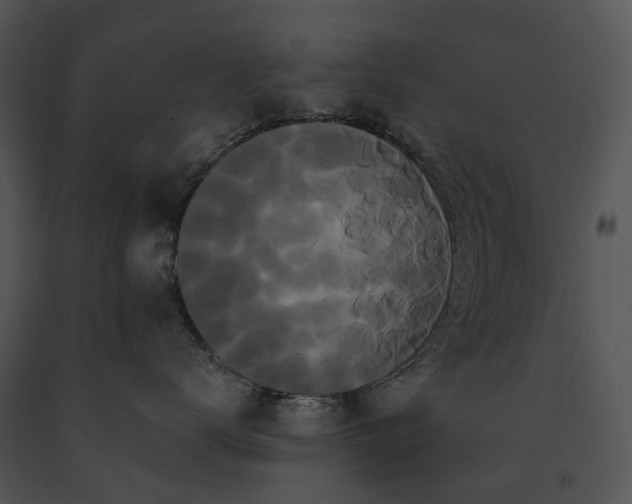 X0000091670672200708301500
