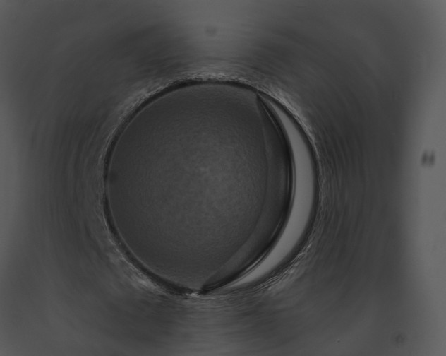 X0000091670673200708301500