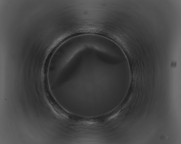 X0000091670674200708301500